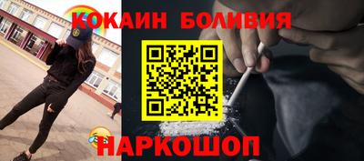 индика Камышлов
