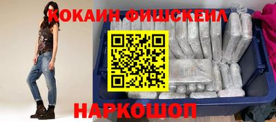 индика Камышлов