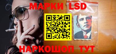 индика Камышлов