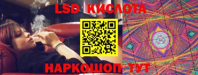 индика Камышлов