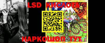стаф Кандалакша