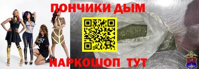 индика Камышлов