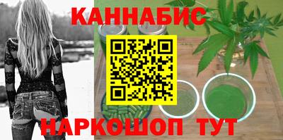индика Камышлов
