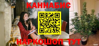стаф Кандалакша