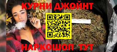 индика Камышлов