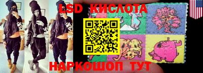 индика Камышлов