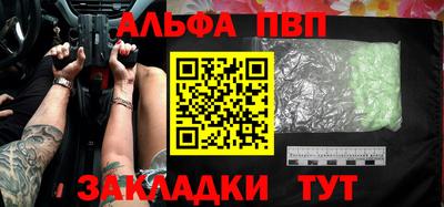 индика Камышлов