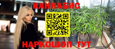 индика Камышлов